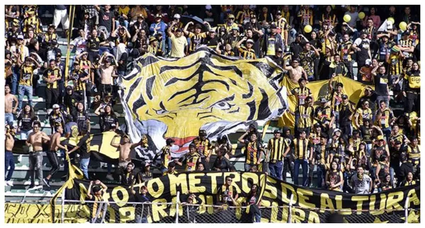 Los hinchas atigrados estarían molestos