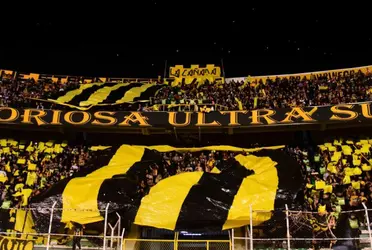 El campeón recibe a Nacional Potosí en la última jornada de la Liga Tigo.