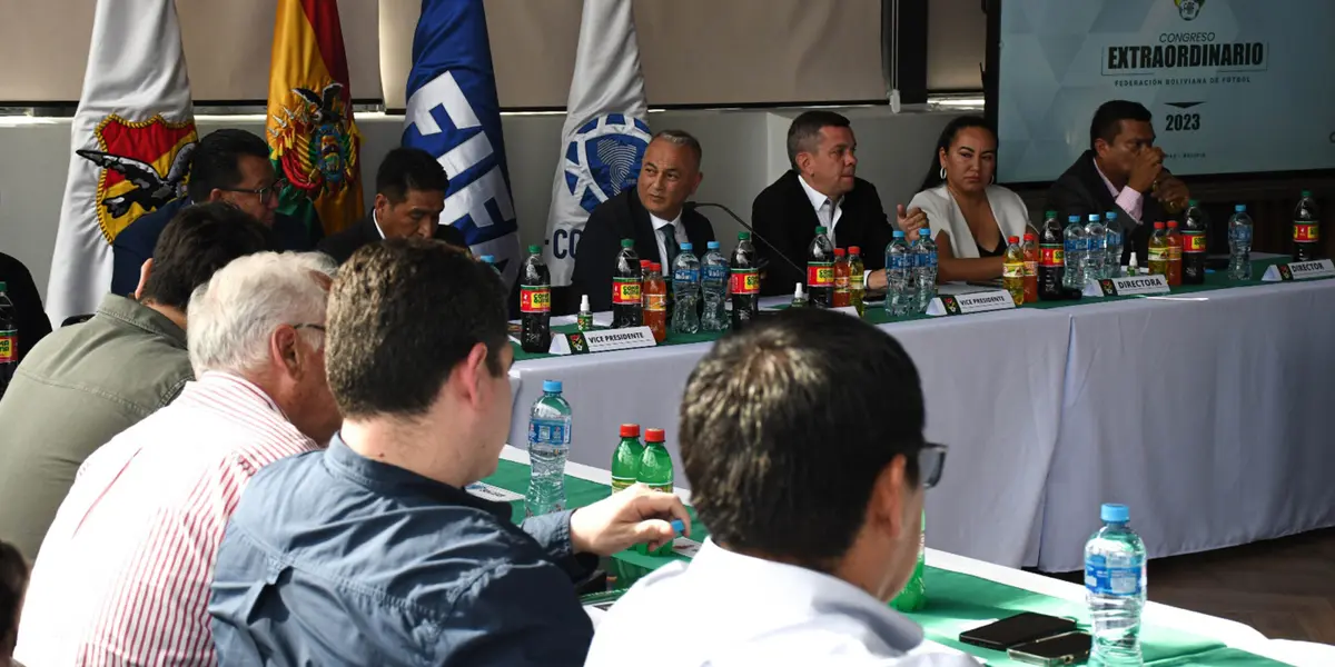 La Comisión de Competiciones delineó cómo los clubes podrían perder la categoría este año